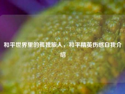 和平世界里的孤独旅人，和平精英伤感自我介绍
