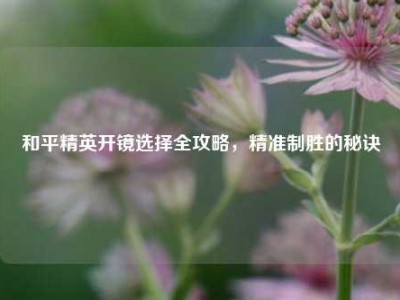 和平精英开镜选择全攻略，精准制胜的秘诀