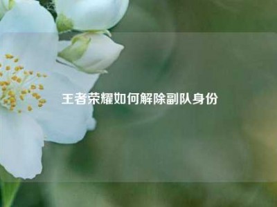 王者荣耀如何解除副队身份