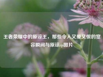 王者荣耀中的原谅王，那些令人又爱又恨的宽容瞬间与原谅cp图片