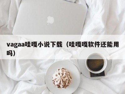 vagaa哇嘎小说下载（哇嘎嘎软件还能用吗）