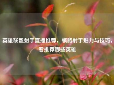 英雄联盟射手直播推荐，领略射手魅力与技巧，看推荐哪些英雄