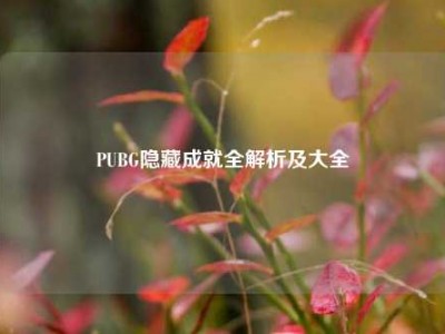 PUBG隐藏成就全解析及大全