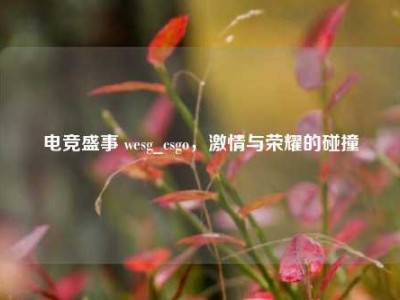 电竞盛事 wesg_csgo，     与荣耀的碰撞