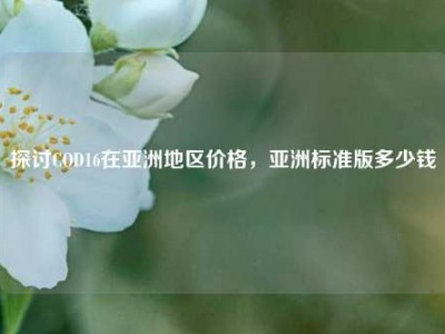 探讨COD16在亚洲地区价格，亚洲标准版多少钱