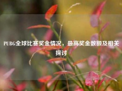 PUBG全球比赛奖金情况，更高奖金数额及相关探讨