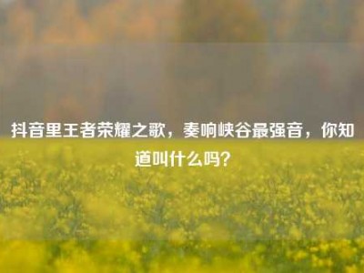 抖音里王者荣耀之歌，奏响峡谷最强音，你知道叫什么吗？