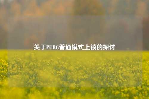 关于PUBG普通模式上锁的探讨