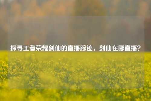 探寻王者荣耀剑仙的直播踪迹，剑仙在哪直播？