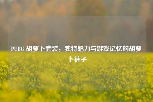 PUBG 胡萝卜套装，独特魅力与游戏记忆的胡萝卜裤子