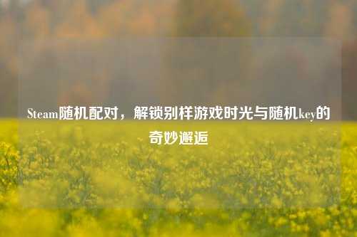 Steam随机配对，解锁别样游戏时光与随机key的奇妙邂逅