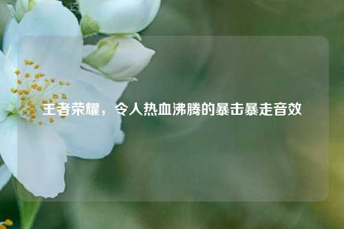 王者荣耀，令人热血沸腾的暴击暴走音效
