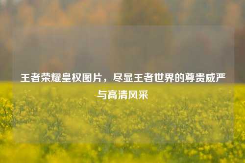王者荣耀皇权图片，尽显王者世界的尊贵威严与高清风采
