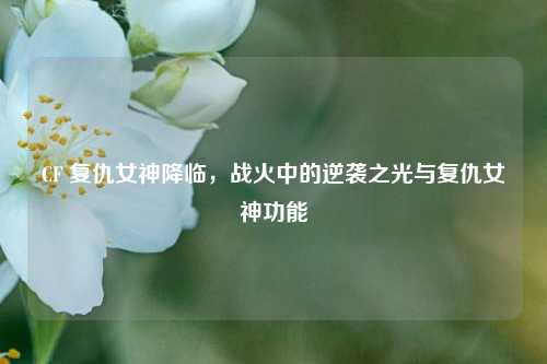 CF 复仇女神降临，战火中的逆袭之光与复仇女神功能