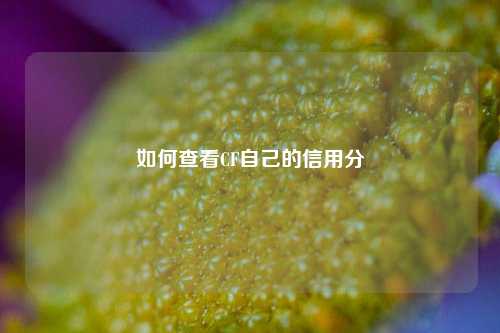 如何查看CF自己的信用分