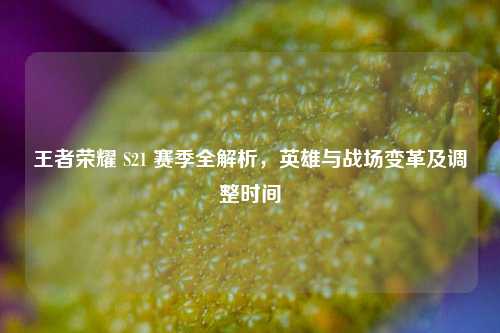 王者荣耀 S21 赛季全解析，英雄与战场变革及调整时间