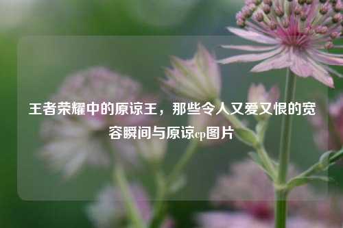 王者荣耀中的原谅王，那些令人又爱又恨的宽容瞬间与原谅cp图片