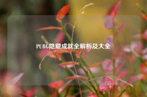 PUBG隐藏成就全解析及大全