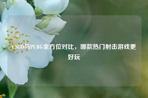 CSGO与PUBG全方位对比，哪款热门射击游戏更好玩