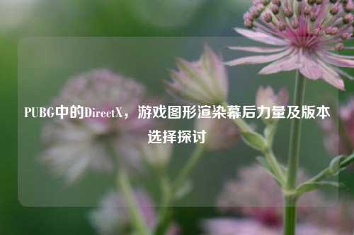 PUBG中的DirectX，游戏图形渲染幕后力量及版本选择探讨