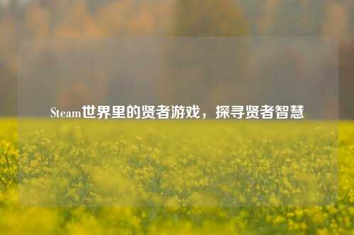 Steam世界里的贤者游戏，探寻贤者智慧