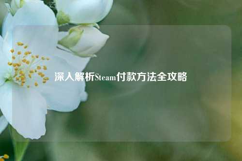 深入解析Steam付款方法全攻略