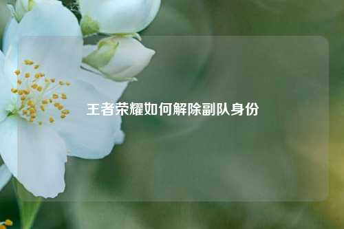 王者荣耀如何解除副队身份