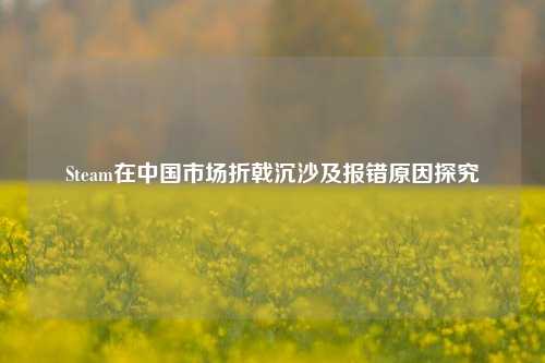 Steam在中国市场折戟沉沙及报错原因探究