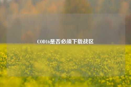 COD16是否必须下载战区