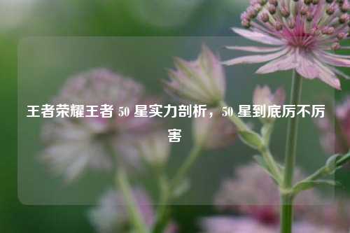 王者荣耀王者 50 星实力剖析，50 星到底厉不厉害