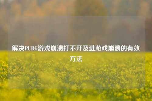 解决PUBG游戏崩溃打不开及进游戏崩溃的有效方法