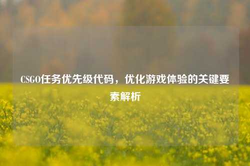 CSGO任务优先级代码，优化游戏体验的关键要素解析