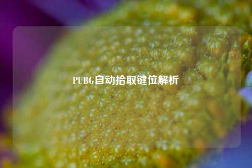 PUBG自动拾取键位解析
