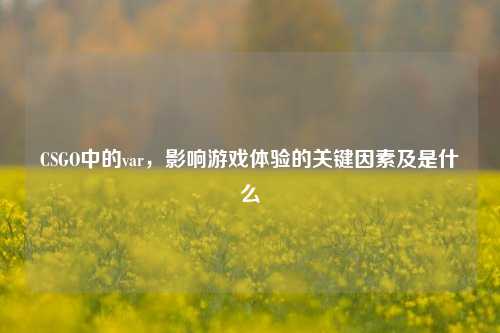 CSGO中的var，影响游戏体验的关键因素及是什么
