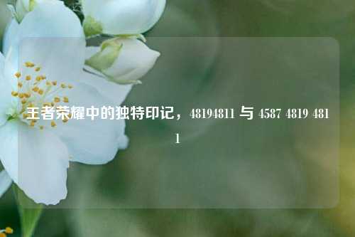 王者荣耀中的独特印记，48194811 与 4587 4819 4811