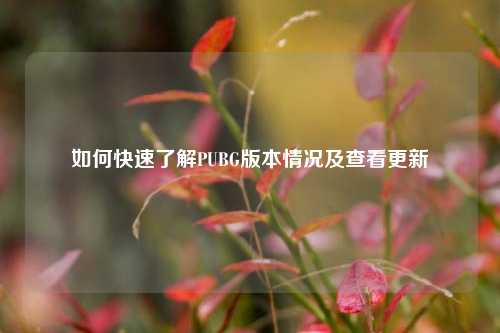 如何快速了解PUBG版本情况及查看更新