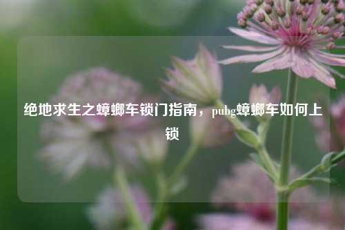 绝地求生之蟑螂车锁门指南，pubg蟑螂车如何上锁